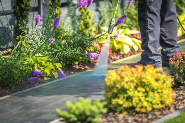 Best Pre-Holiday Cleaning  in Pennsboro, WV